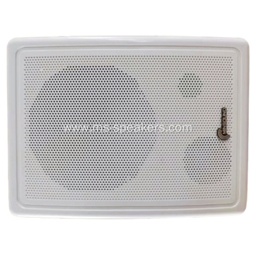 Cost-effective 6.5 inch HiFi Wall Speaker